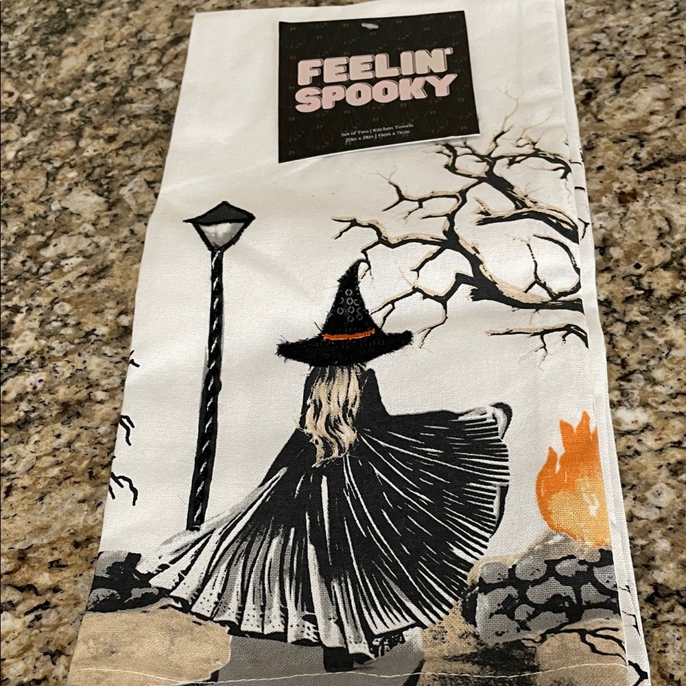 2 Pack Halloween Witch Towels